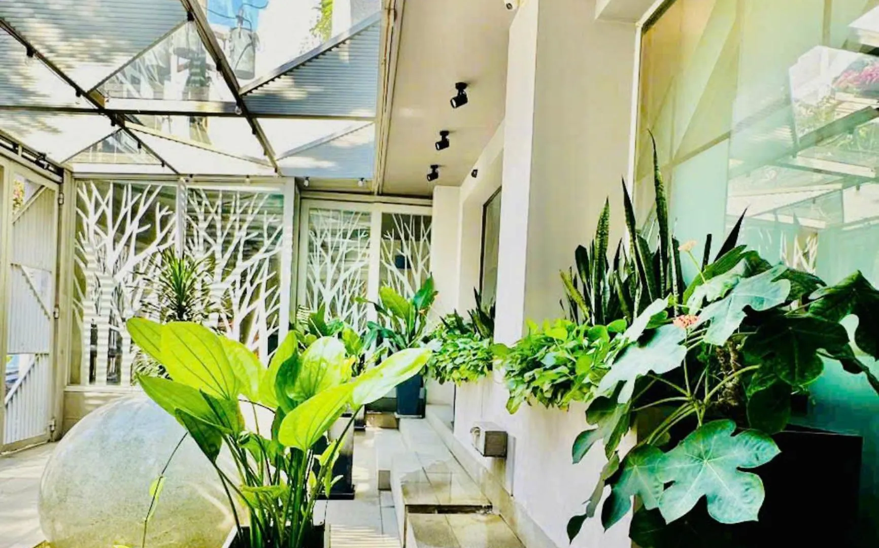 Royal Dragon Boutique Hotel Tan Binh Ho Chi Minh City 3*,  Vietnam