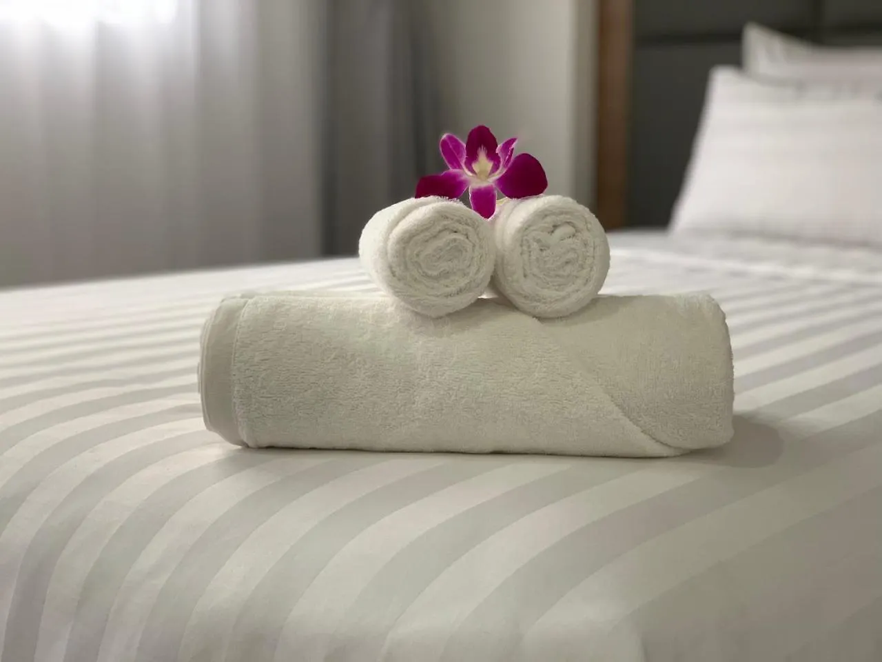 Royal Dragon Boutique Hotel Tan Binh Ho Chi Minh City