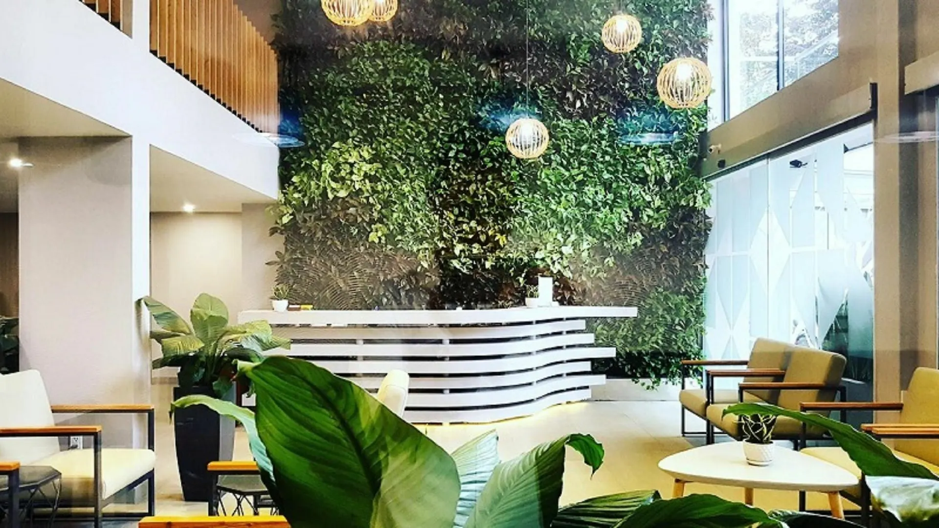 Royal Dragon Boutique Hotel Tan Binh Ho Chi Minh City